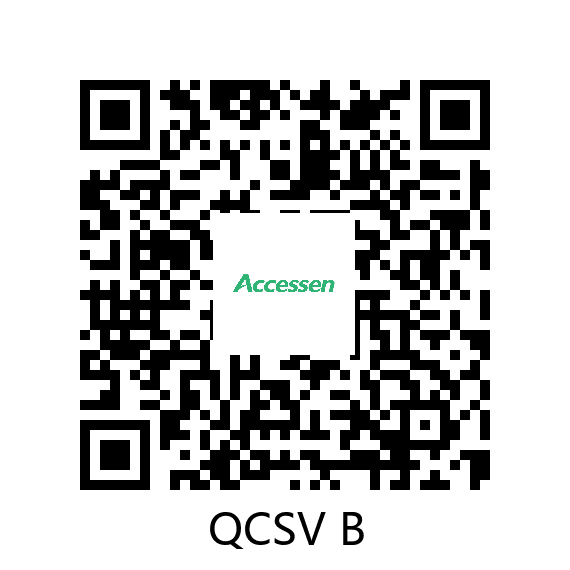 艾克森资质文件 B