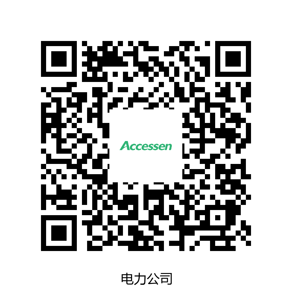 拉斯格尔塔斯电力公司