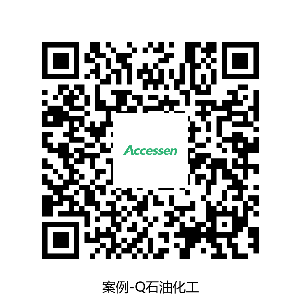 Q石油化工天然气案例故事